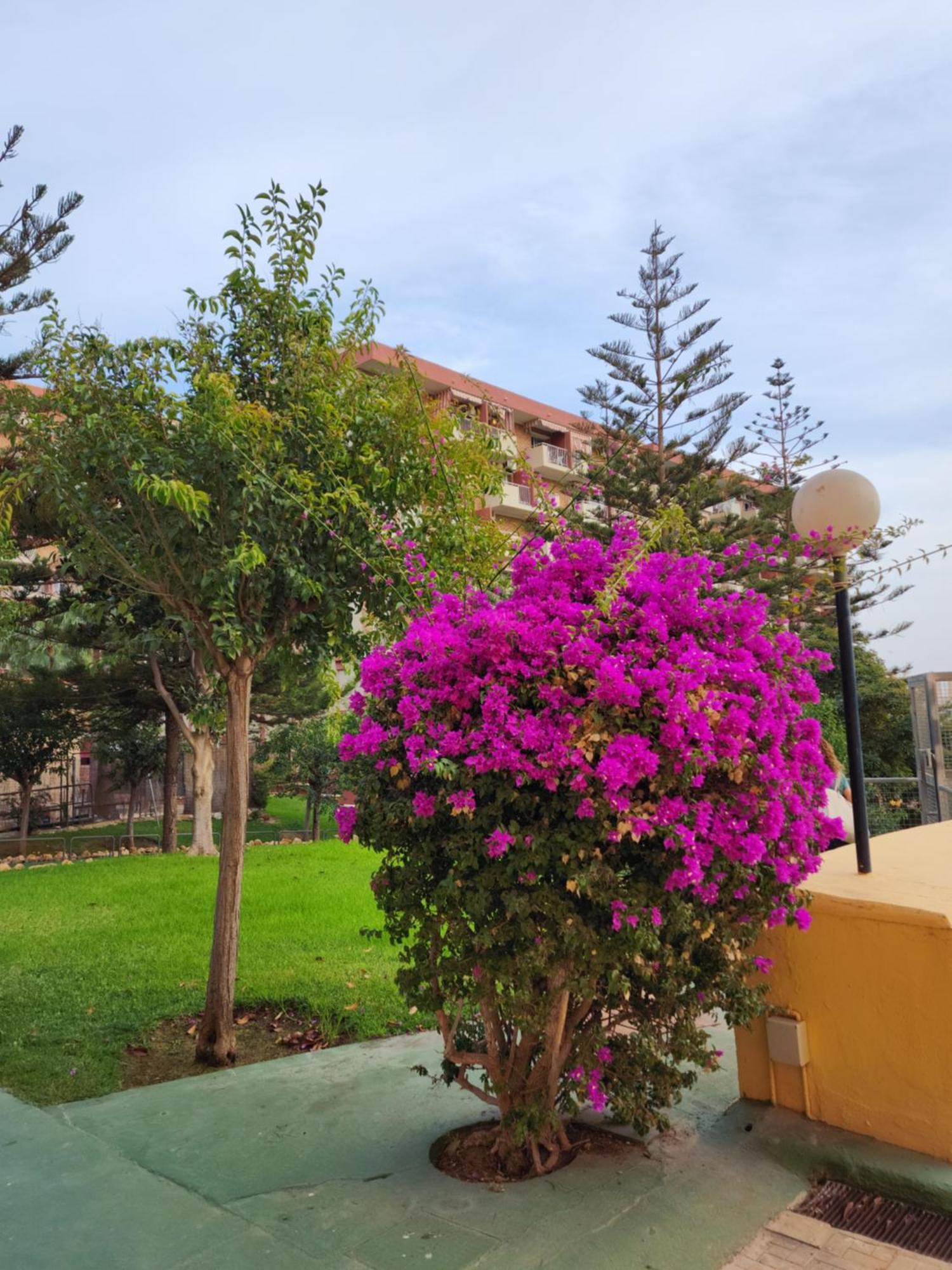 Benalmadena Minerva 401 Estudio Con Gran Piscina Y Parque Acuatico Bagian luar foto